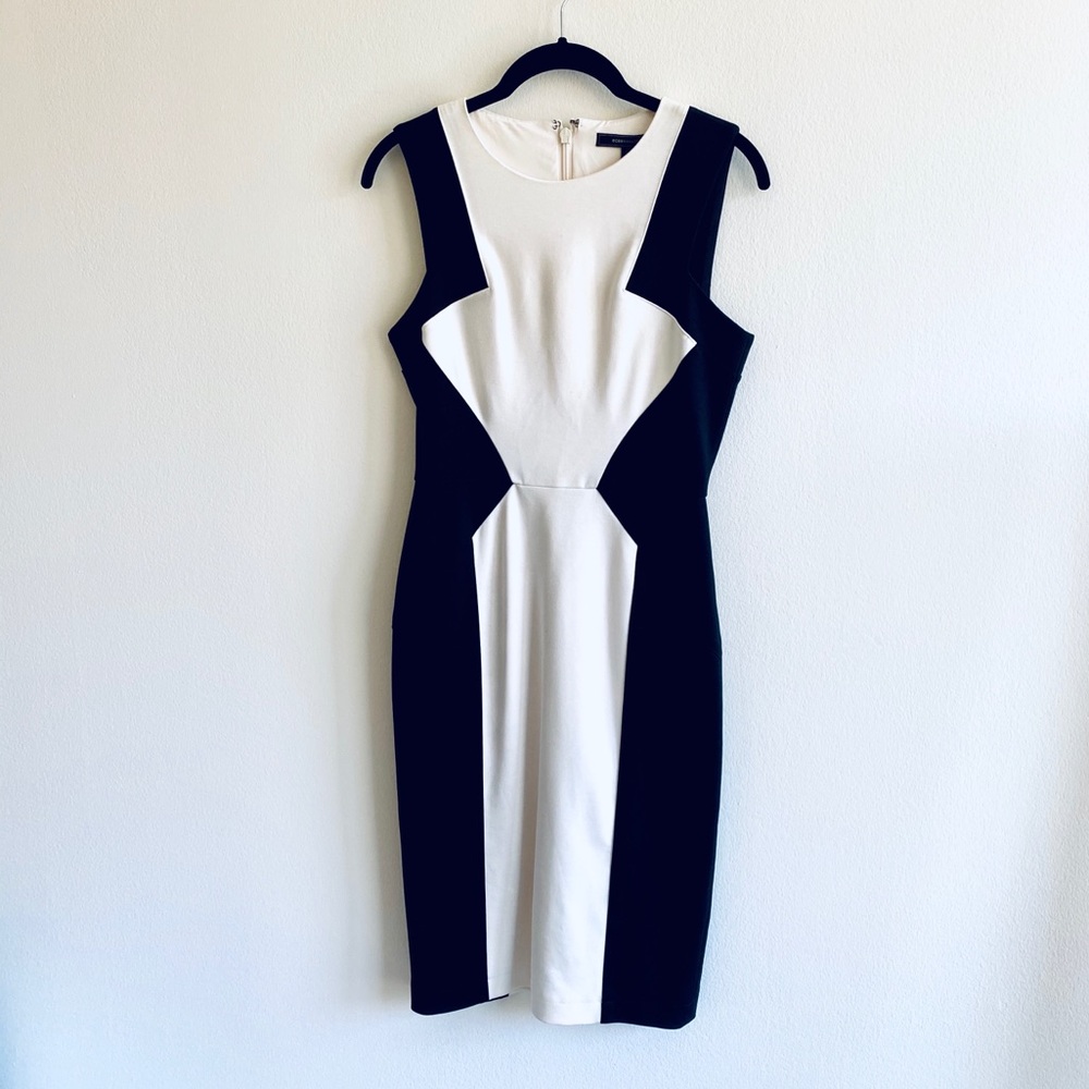 BCBGMAXAZRIA Color Block Dress